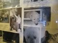 Photos of when a Polar Bear decided to investigate the Polish Base