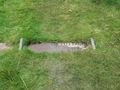 Next Image