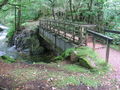 Next Image