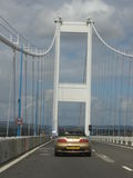 Previous Image