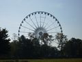 Windsor Wheel